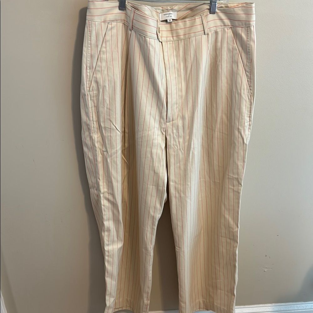 NEW Banana Republic Womens 14 Pleated Chino Pants Cream Red Pinstripe Cotton 30